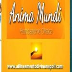 Vacanza olistica a Palinuro