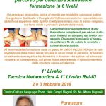 Percorso per diventare Allineatore - Formazione in 6 livelli